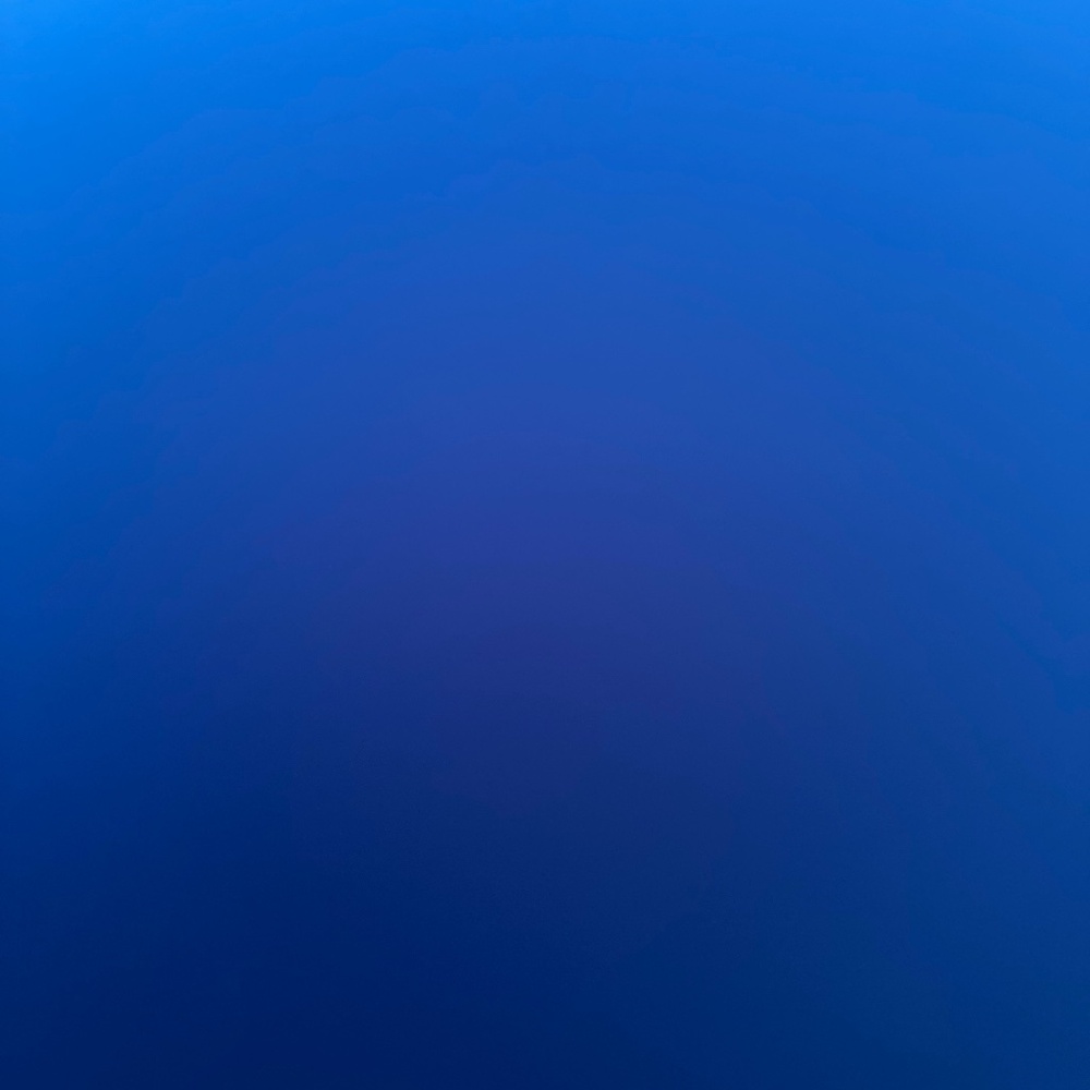 Meet your Posher, Shantel